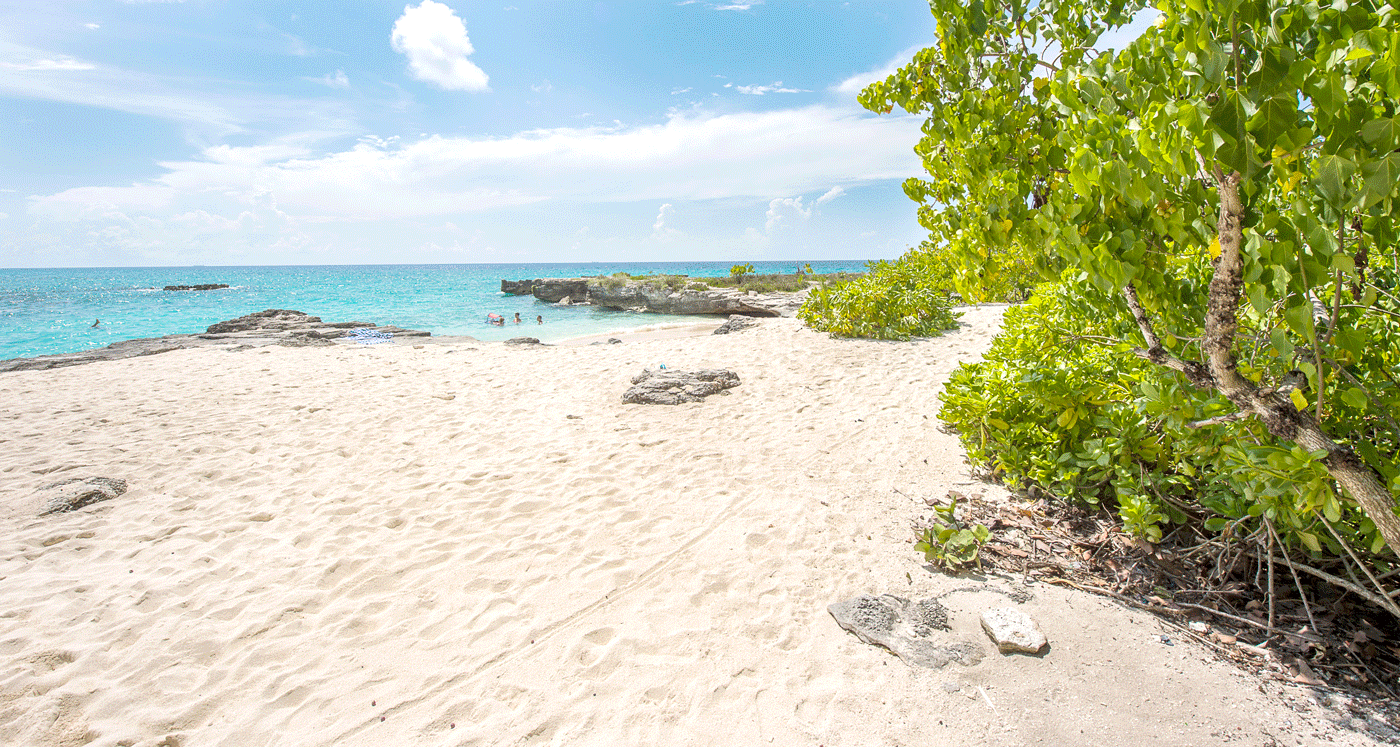 Trial date set for Smith Barcadere robbery case