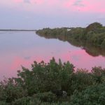 Putting a price on nature