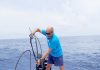 Large floating Styrofoam lure removed from water