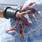 Government considering single-use plastics ban