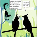 The cat