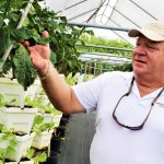 Cayman farmers anxious about the future