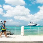 Government: Referendum would kill cruise port