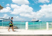 Government: Referendum would kill cruise port