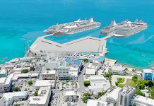 Opposition raises questions over cruise ship port financing