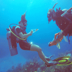 CCMI offers academic scholarships for teenagers interested in ocean science