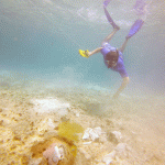 DoE: Coral colonies sustain ‘serious’ damage from ship