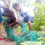 Schools join beach cleanup efforts