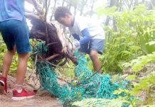 Schools join beach cleanup efforts