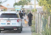 Gunman to claim ‘diminished responsibility’ in West Bay killing