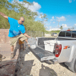 Day one of cull nets nearly 14,000 iguanas