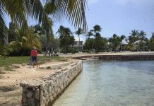 Controversial sea wall removed