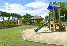 Community pitches in to beautify park