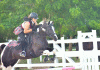 Early Halloween for show jumpers