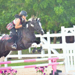 Early Halloween for show jumpers