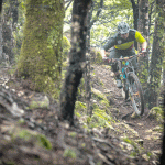 Dart donates mountain bike park to New Zealand government
