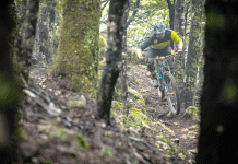 Dart donates mountain bike park to New Zealand government