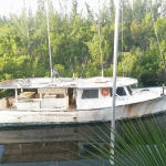 Canal-side residents face boat dilemma