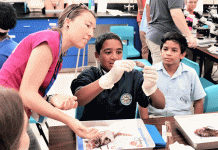 STEM conference aims to inspire students