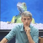 Iguana cull registration begins Monday