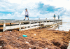 EDITORIAL – In search of sargassum solutions
