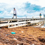 EDITORIAL – In search of sargassum solutions