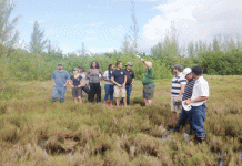 Geology Education Week starts for Cayman students