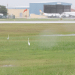 Airport ponds too inviting for birds