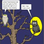 Hoot