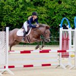Local show jumpers compete internationally