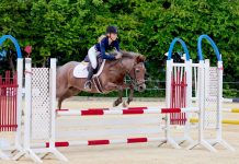 Local show jumpers compete internationally