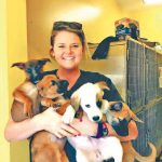 A vet’s weekend emergency shift