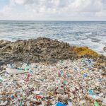 Committee recommends plastics ban by Jan 2021