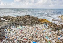 Committee recommends plastics ban by Jan 2021
