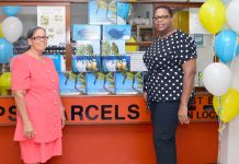 Postal Service launches Christmas postal boxes