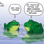 Cayman wetlands