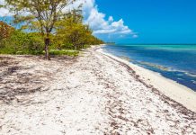 Government raids Environmental Protection Fund to help pay salaries