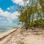 Barkers cleanup draws 75 volunteers