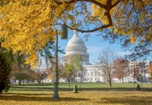 US firm still advocating for Cayman Islands in Congress