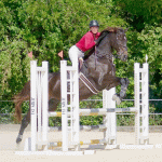 Equestrian jumping series wraps up