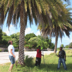 Letter: A tourist’s view of the great iguana cull