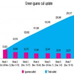Green iguana cull total passes 275,000