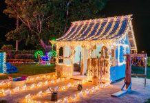 Cayman ablaze with festive lights