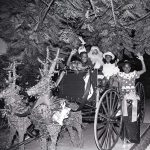 Remembrances of Christmases past: Wild fowl, weeping willow and Junkanoo