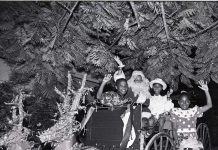 Remembrances of Christmases past: Wild fowl, weeping willow and Junkanoo