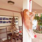 Garden Club spreads festive cheer at Botanic Park