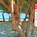 Barkers National Park: A series of false starts