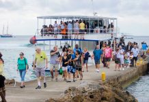 Fewer cruise ships to dock at Spotts