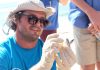 Sharp drop in nesting turtle numbers