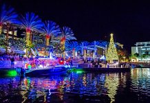 Parade of Lights dazzles